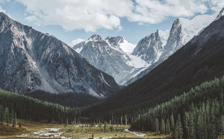 移民捷克推荐中介公司